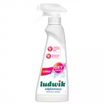 Ludwik Odplamiacz tlenowy w piance do tkanin kolorowych Color 250 ml