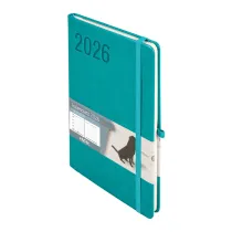 Antra Kalendarz 2026 Minimalizm A5 TNS turkus
