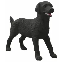 SLH czarny labrador suczka 14923 16413