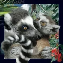 Worth Keeping Magnes 3D Lemur