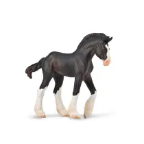 �rebi� Clydesdale ma�ci czarnej