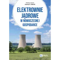 Elektrownie j�drowe w nowoczesnej gospodarce