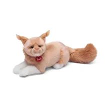 Kot rasy Maine Coon Trudi