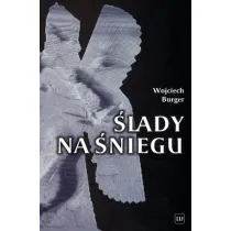 �lady na �niegu