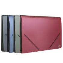 Deli Teczka A4 z gumk� 13-przegr�dek 1szt.mix