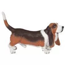 Basset
