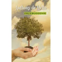 Przebudzenie