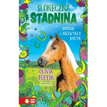 Amelia i niezwyky kucyk. Soneczna Stadnina. Tom 5