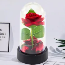 Wieczna R�a w Kopule z O�wietleniem LED