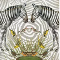 Museums & Galleries Karnet kwadrat z kopert� Zebra