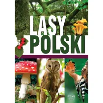 Lasy polskie