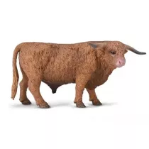 Byk szkockiej rasy wyynnej