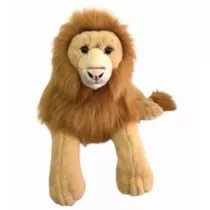 Lew 60cm Dubi