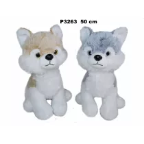 Husky 50cm MIX Sun-Day