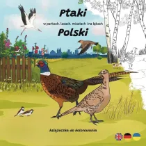 Ptaki w parkach, lasach, miastach i na ��kach...
