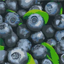 Ideyka Malowanie po numerach - Soczysta borwka 25x25