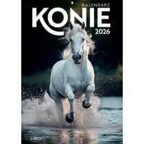 Kalendarz 2026 A4 Wieloplanszowy Konie