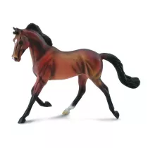Klacz Thoroughbred ma�ci Bay