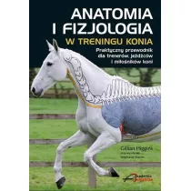 Anatomia i fizjologia w treningu konia