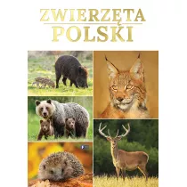 Zwierz�ta Polski