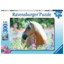 Puzzle 300 el. Ko Ravensburger