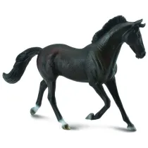 Klacz thooroughbred maci czarnej