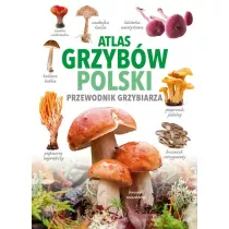 Atlas grzybw Polski