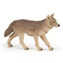 Szakal