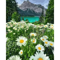 Twoje Hobby Malowanie po numerach - Rumianki w g�rach 40x50cm