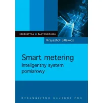 Smart metering. Inteligentny system pomiarowy