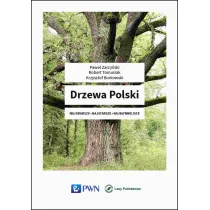 Drzewa Polski
