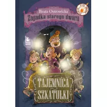Tajemnica szkatuki. Zagadka starego dworu. Tom 2