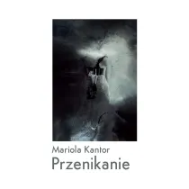 Przenikanie