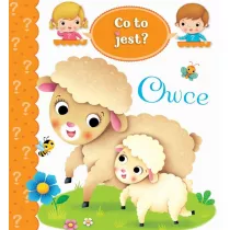 Co to jest? Owce