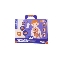 Puzzle Magnetyczna podkadka - Anatomia czowieka mierEdu