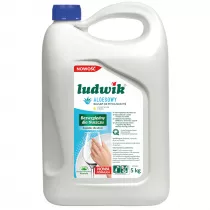 Ludwik Pyn do mycia naczy aloesowy balsam 5 l