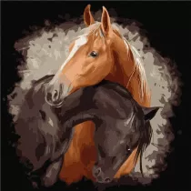 Ideyka Malowanie po numerach - Pe�ne wdzi�ku pi�kno 40x40cm