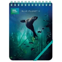 Museums & Galleries Ko�onotes ozdobny Galapagos Sea Lion