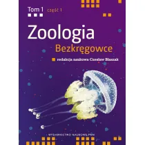 Bezkr�gowce. Zoologia. Tom 1. Cz�� 1