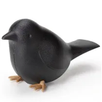 Qualy Magnes Sparrow czarny 10230-BK