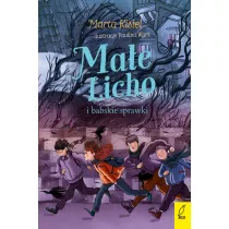 Mae Licho i babskie sprawki. Mae Licho. Tom 4