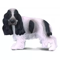 Pies cocker spaniel angielski