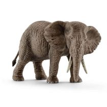 Słoń afrykański samica