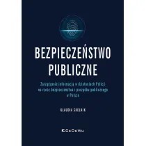 Bezpiecze�stwo publiczne