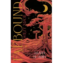 Faebound. Wi�zy magii