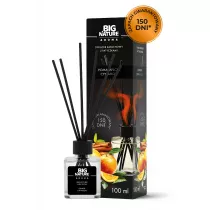 Big Nature Dyfuzor zapachowy Pomaracza Cynamon 100 ml