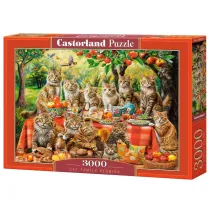 Puzzle 1500 Summer Roses Castorland