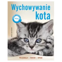 Wychowywanie kota