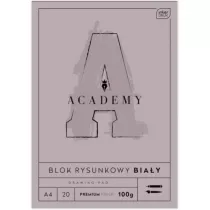 Interdruk Blok rysunkowy A4 100g 20 kartek