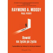 Dow�d na �ycie po �yciu. 7 powod�w, aby wierzy� w istnienie �ycia po �yciu